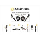 Lazer Lamps Sentinel 9" Standard in Schwarz mit Positionslicht