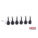 HESS Motorschutz 6mm für VW T6/T6.1 4Motion