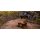 ARB Firepit, Feuerschale 600x480x300mm incl. Canvas-Tragetasche