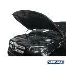 RIVAL Motorhauben- und Heckklappendämpfer Pickup...
