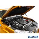 RIVAL Motorhaubendämpfer Pickup Nissan Navara IV